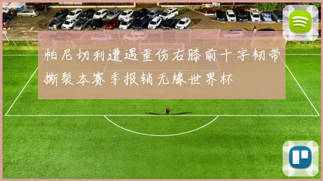 帕尼切利遭遇重伤右膝前十字韧带撕裂本赛季报销无缘世界杯